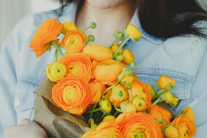 Vista previa: flores amarillas y naranjas
