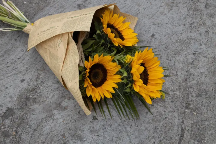Girasoles envueltos en papel periódico