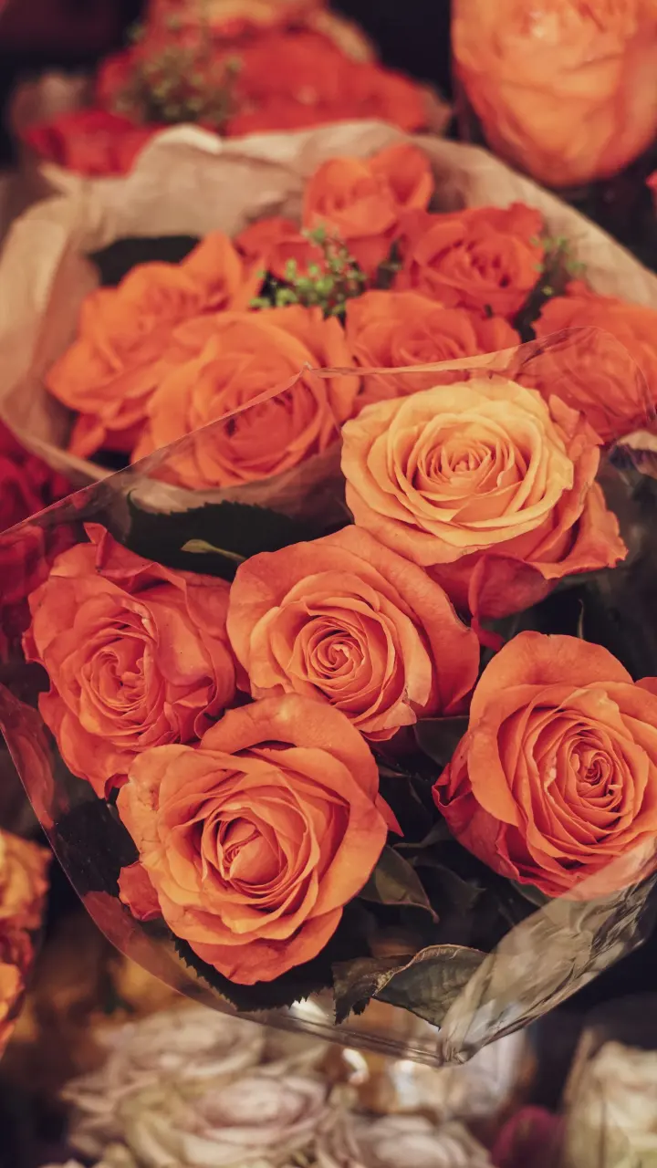 Rosas naranjas en detalle
